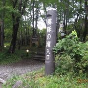 木道の先の展望台から、遠く離れている上に、木立の隙間からしか見えず、その雄大さを味わうことが出来ません。残念です。