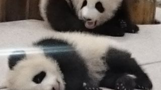 最高に楽しい！