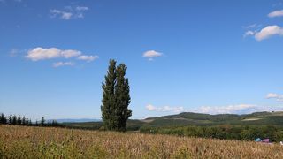 久々訪問。変わらない雄姿に感激！