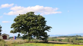 久々訪問。まだ健在に感激！