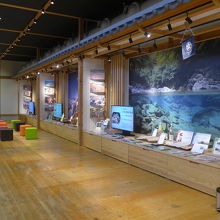 高知県情報の展示コーナー