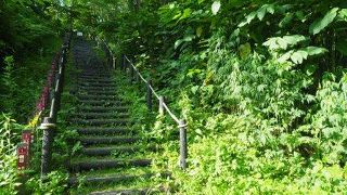 クモの巣がいっぱいでした