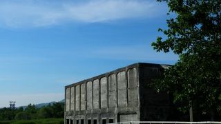 いまやカラスのねぐら