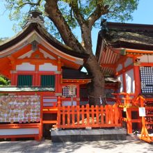 ずっと見ていると神社のように見えてくるから不思議です。