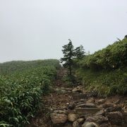 苗場山は、登りやすい山です。