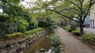 地元のオアシス