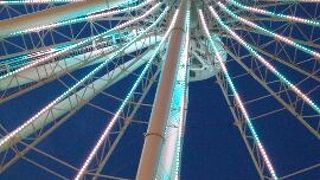 外も中も楽しめる