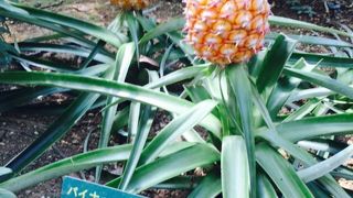 空いていて穴場でした