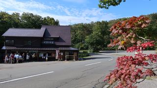 無料の麦茶は、長生きできるお茶 ♪