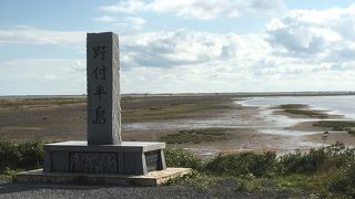 強風でかなり倒れてしまっていました