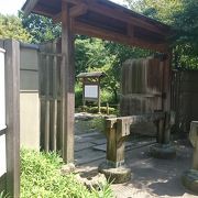 広い庭園ではありません