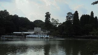 武蔵野の面影を強く残す（井の頭恩賜公園）