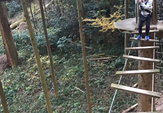 フォレストアドベンチャー 小田原 クチコミ アクセス 営業時間 小田原 フォートラベル