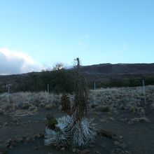 標高2,800mの高さにあり夏度も寒いくらいです