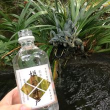 ペットボトルに水を