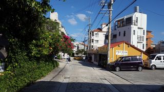 散歩にうってつけ