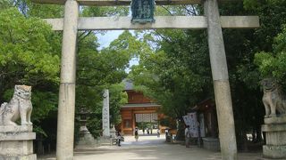 大きな楠が印象に残ります。