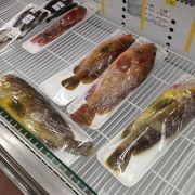新鮮な魚が売ってます