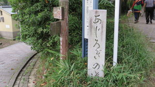 木陰の土手道！