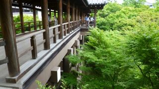 「東福寺」　何度来ても飽きない景色。