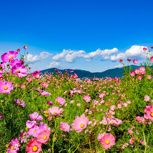 天気が良い日は魅力も倍！