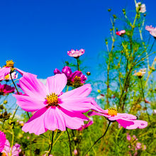 晴れの日がお薦め