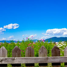 田舎ならではのゆったりとした雰囲気が味わえる