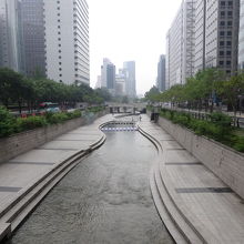 川の両側に散策路があります。