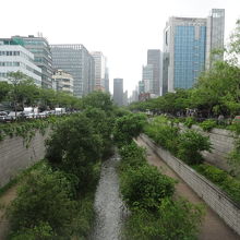 緑が豊かな区間もあって、変化に富んでいます。