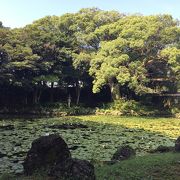 日本で最後に築城されたお城の庭園・・・でも夏は蚊にご注意！