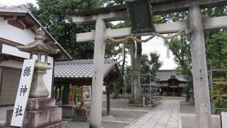 可愛い伝来人形！