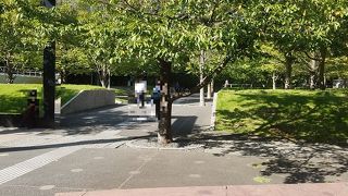 水、石、光、風といったテーマのある空間