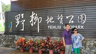 行って正解でした