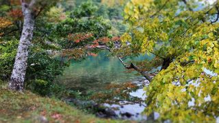 雨模様でしたが... 思いの外