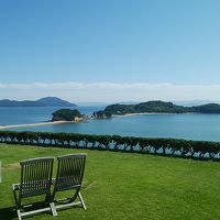 ロビーの外の庭からの景色