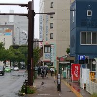 バス乗り場から撮影。真ん中奥がホテル。