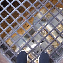 下はこんな感じに