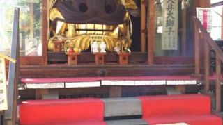 迫力のある獅子