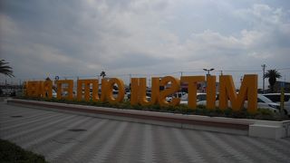 広い広い人で一杯