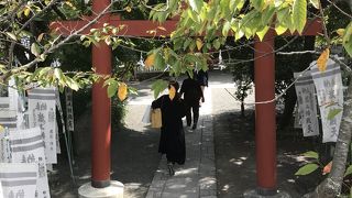 源平池の小島に建つ