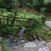 旭川の源流の1つ。おいしい水が飲めます