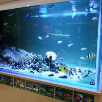 ロビーの水槽