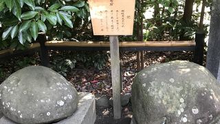 水で洗うと模様が出る石