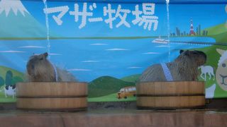 言わずと知れた観光名所です。