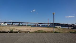 雑草が生えて・・