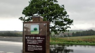 意外と普通な感じでした。