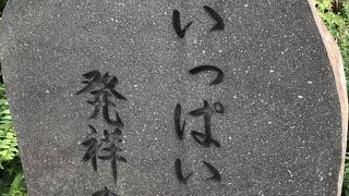 素晴らしい運動