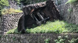 再会できました。