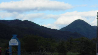 自然たっぷり、静かで癒される公園です☆