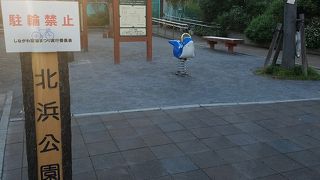 やさしいうんどう教室